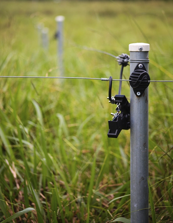 Cercas Eléctricas en Pérez Zeledón