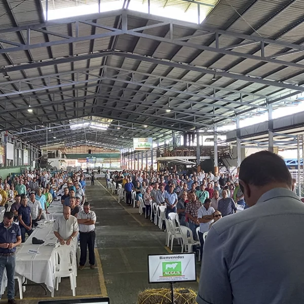 Asamblea de asociados de la ACGUS